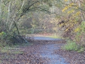 DSC_7365_mini
