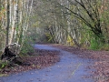 DSC_7395_mini