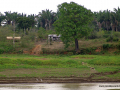 SONY DSC