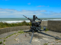 MK-2114-min