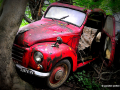 DSC_5555-001_mini