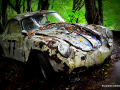 DSC_5581-001_mini
