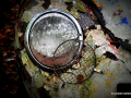 DSC_5586-001_mini