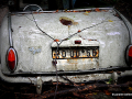 DSC_5602-001_mini