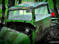 DSC_5619-001_mini