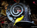 DSC_5629-001_mini