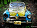 DSC_5634-001_mini