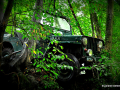 DSC_5699-001_mini