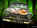 DSC_5701-001_mini