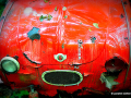 DSC_5704-001_mini