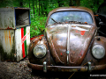 DSC_5730-001_mini