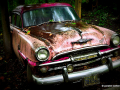 DSC_5782-001_mini