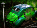 DSC_5795-001_mini