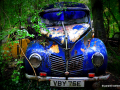 DSC_5805-001_mini
