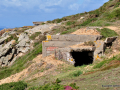 DSC_8085_mini