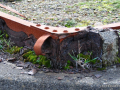 DSC_8168_mini