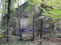 DSC_1282_mini