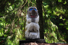 DSC_8517_mini