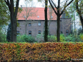 thumbs_DSC_7745_mini