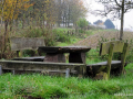 DSC_7753_mini