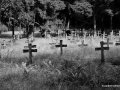DSC_8211_mini