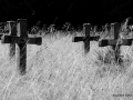 DSC_8245_mini