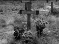 DSC_8262_mini
