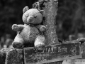 DSC_8295_mini