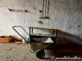 DSC_8639-min