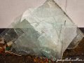 DSC_8780-min