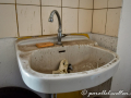 DSC_8798-min