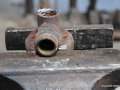 DSC_6174_mini
