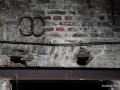 DSC_6213_mini