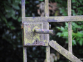 DSC_6436_mini