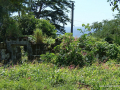 SONY DSC