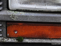 DSC_0590_mini