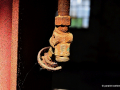 DSC_1594_mini