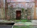 DSC_1768_mini