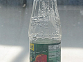 DSC_7120_mini