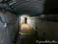 DSC_0556-min