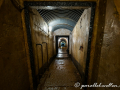 DSC_0641-min