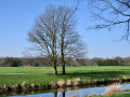 DSC_7241_mini