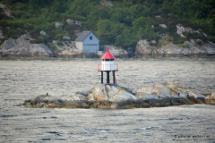 DSC_8568_mini