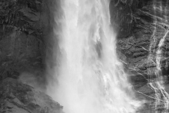 DSC_8612_mini