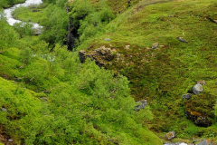 DSC_8692_mini