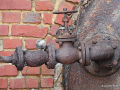 DSC_1615_mini