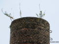 DSC_1637_mini