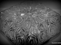 DSC_0316_mini
