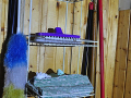 DSC_0473_mini