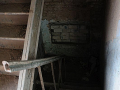 DSC_0416